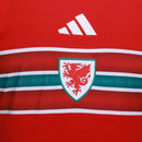 Camisa País de Gales I 26/27 COPA- Torcedor-Masculina