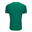 Camisa Palmeiras I 25/26 - Masculina- Torcedor