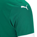 Camisa Palmeiras I 25/26 - Masculina- Torcedor
