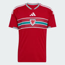 Camisa País de Gales I 26/27 COPA- Torcedor-Masculina