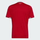 Camisa País de Gales I 26/27 COPA- Torcedor-Masculina