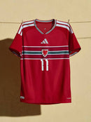 Camisa País de Gales I 26/27 COPA- Torcedor-Masculina